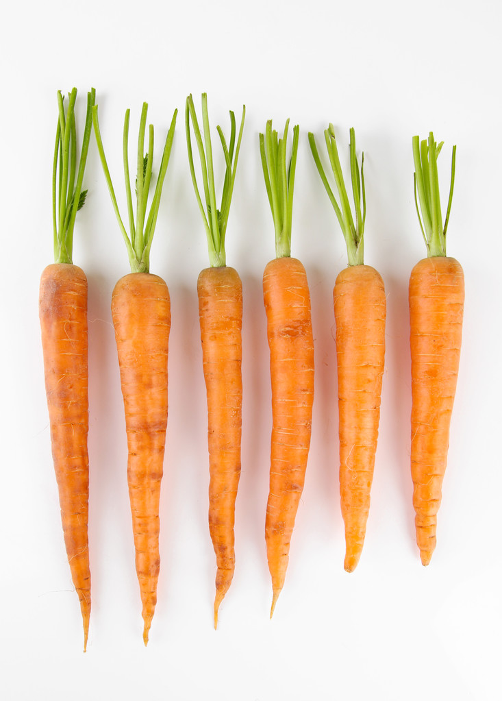 Porkkanat, valkoisella eristetyt
 - Valokuva, kuva