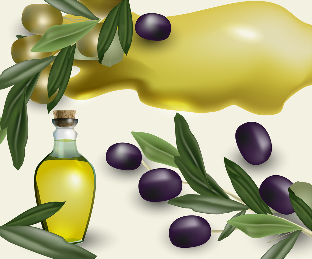 oliva cibo gustoso vettoriale illustrazione
   - Vettoriali, immagini