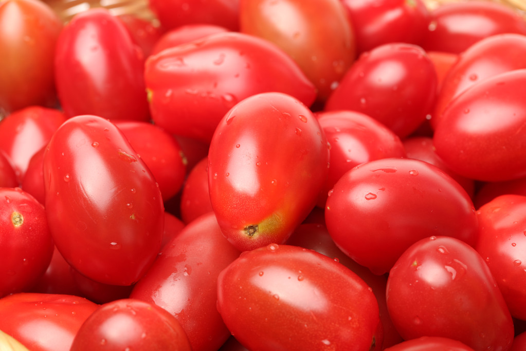 kleine cherry tomaat - Foto, afbeelding