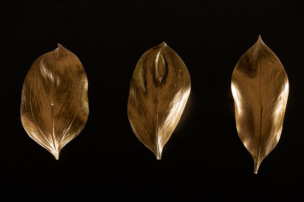 vista dall'alto di foglie decorative in metallo dorato isolate sul nero
 - Foto, immagini