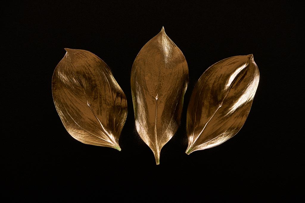 Widok z góry na trzy złote metalowe liście ozdobne izolowane na czarno - Zdjęcie, obraz