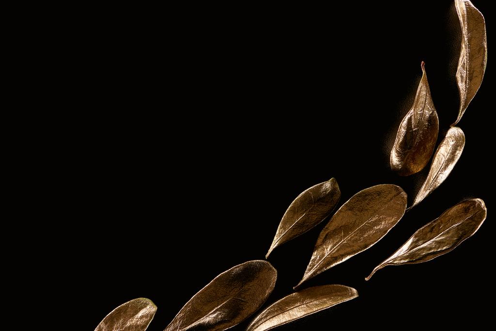 vista superior de metal dourado folhas decorativas isoladas em preto com espaço de cópia
 - Foto, Imagem