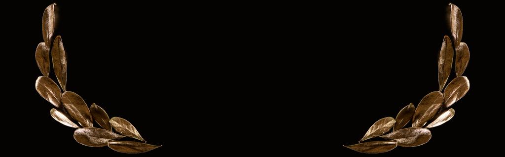 plano panorámico de hojas doradas aisladas en negro con espacio de copia
 - Foto, Imagen