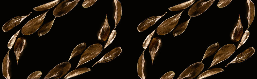 панорамный снимок блестящих золотых металлических декоративных листьев, изолированных на черном
 - Фото, изображение