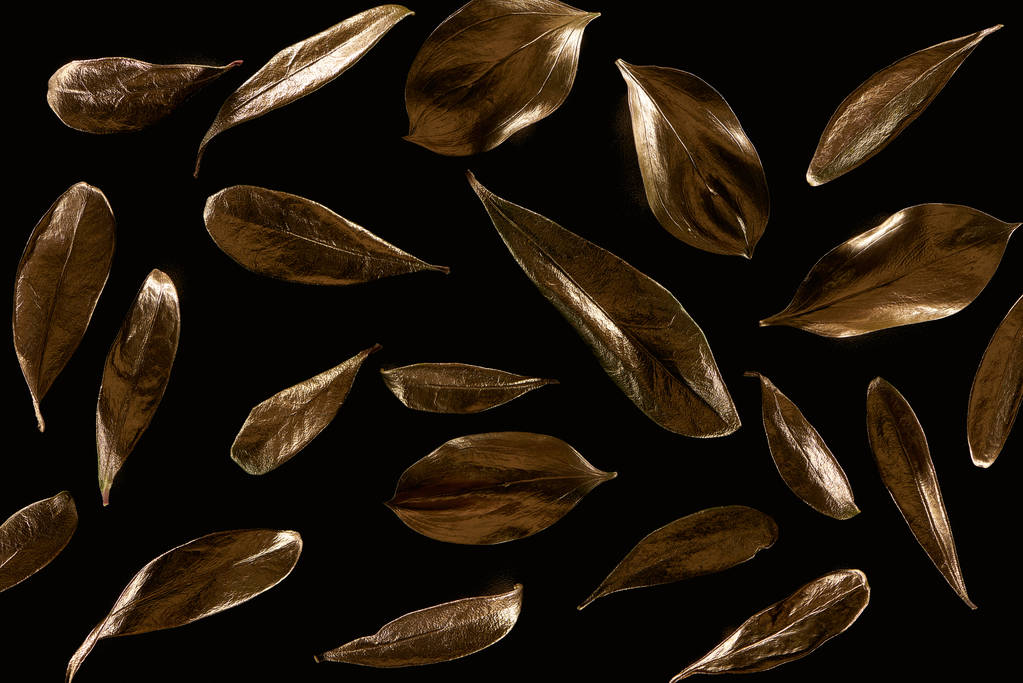 sfondo modello con foglie di metallo oro isolato su nero
 - Foto, immagini
