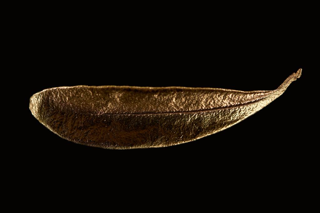 top view of golden metal decorative leaf isolated on black - Photo, Image