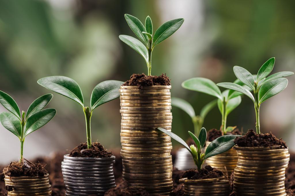 серебряные и золотые монеты с зелеными листьями и почвой, концепция финансового роста
 - Фото, изображение