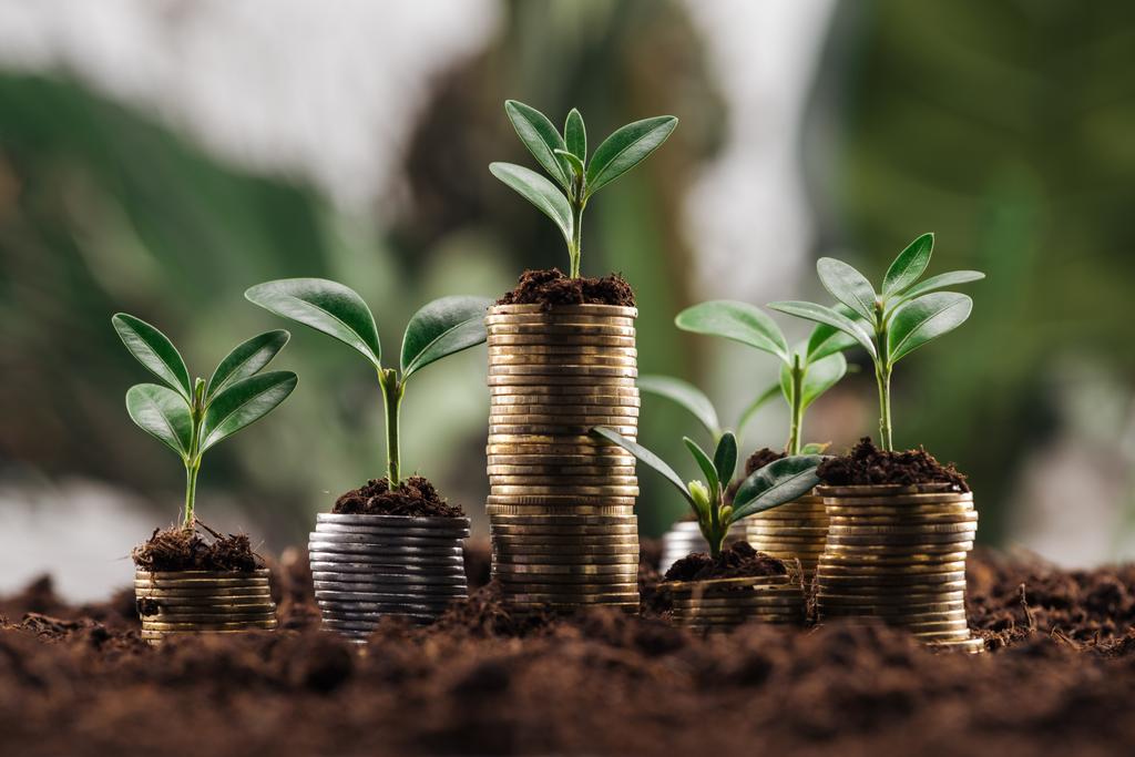 ασημένια και χρυσά νομίσματα με χώμα και πράσινα φύλλα, έννοια της οικονομικής ανάπτυξης - Φωτογραφία, εικόνα