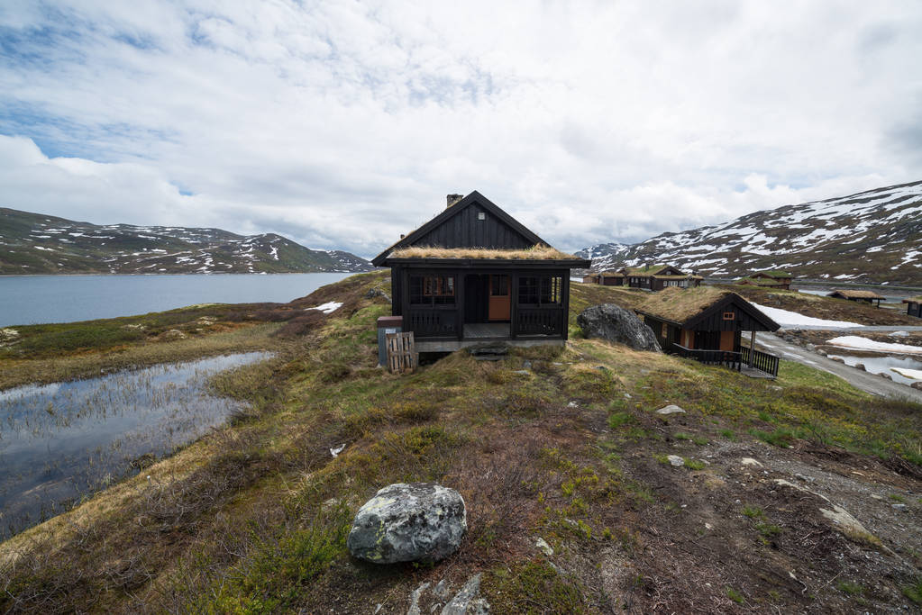 ティンストレン(ノルウェー)の草を持つ伝統的なノルウェーの家  - 写真・画像
