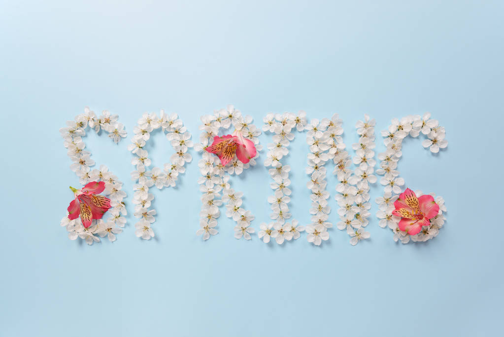 das Wort Frühling aus weißen Kirschblütenblüten und Alstroemerienblüten - Foto, Bild