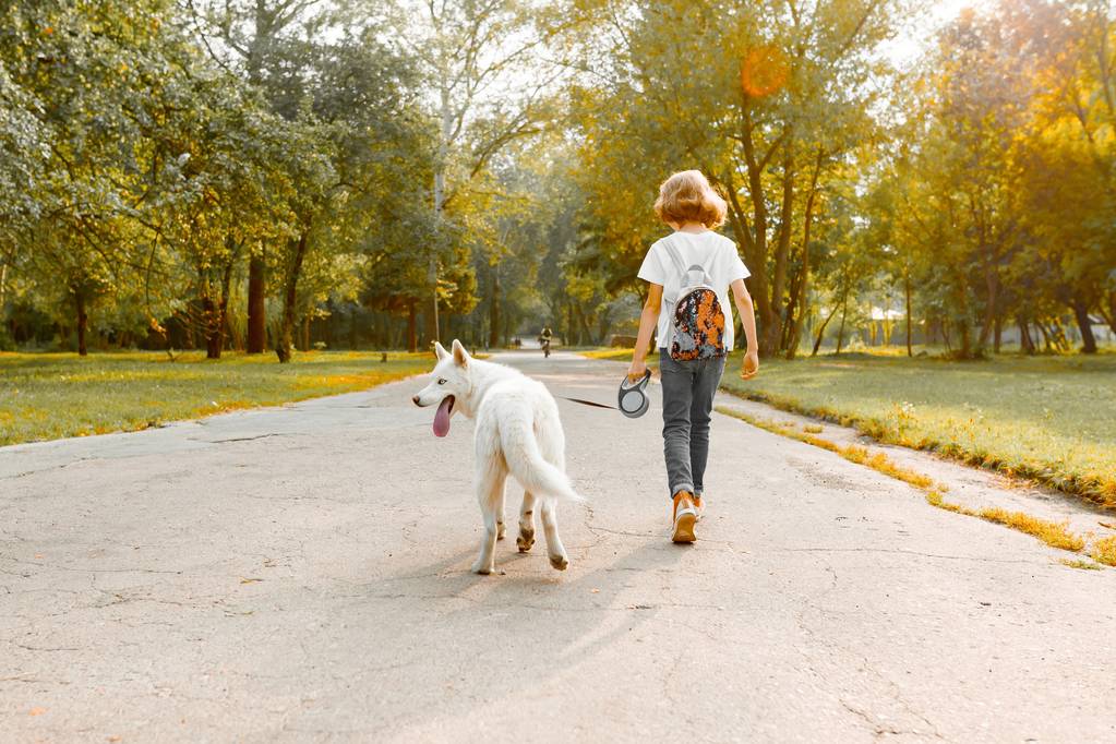 Niños adolescentes niño y niña caminando por la carretera en el parque con un perro blanco husky, vista trasera
 - Foto, Imagen