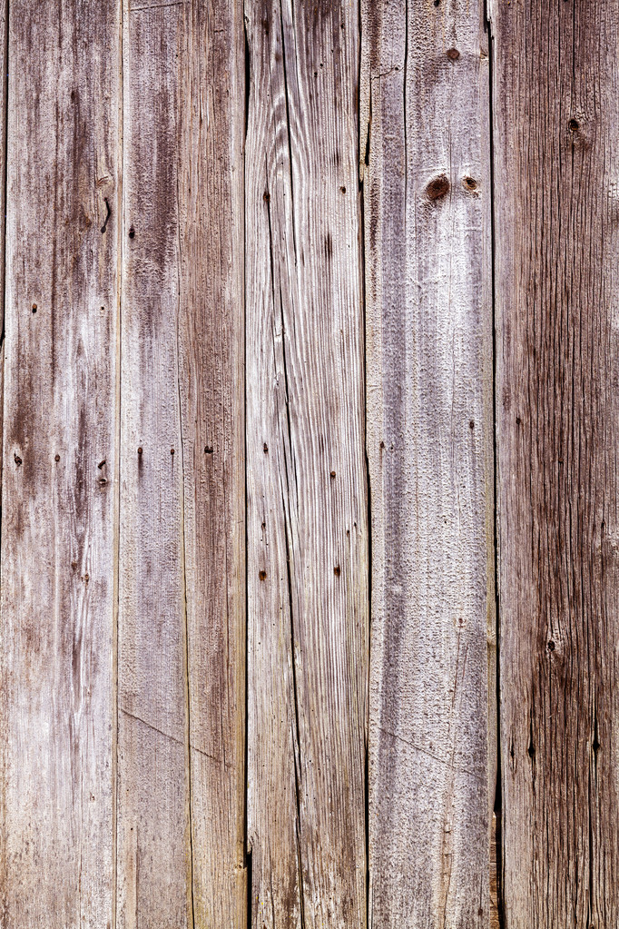 Design d'intérieur - Mur en bois
 - Photo, image