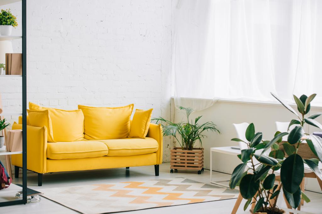 ruime woonkamer met gele Bank, vloerbedekking en planten in bloempotten - Foto, afbeelding
