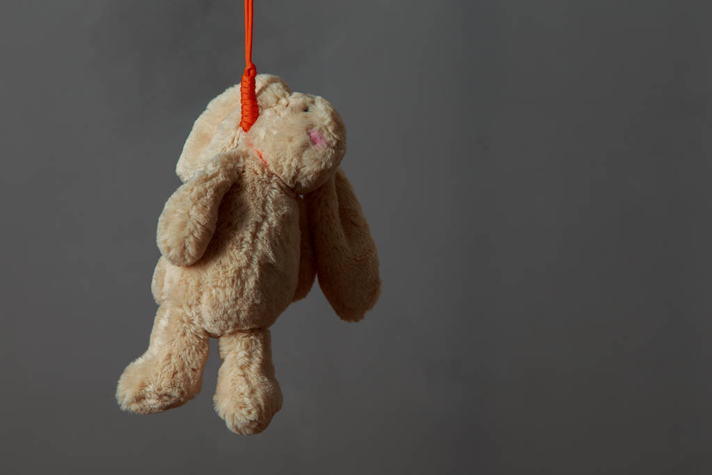 Samobójcze królik na pomarańczowej linę - Zdjęcie, obraz