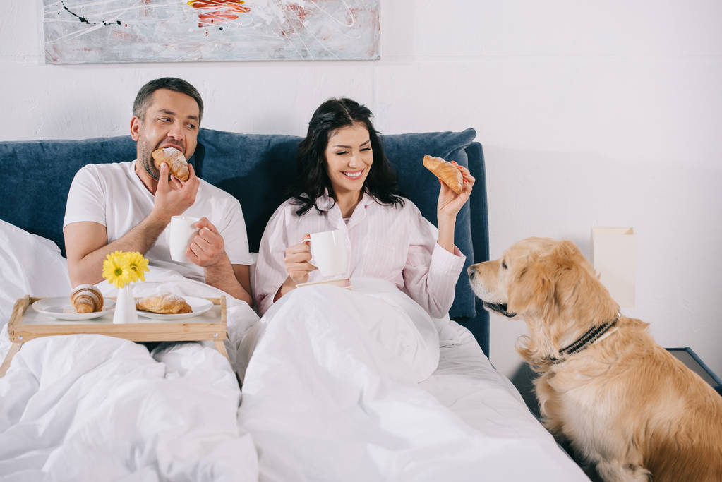 vrolijke vrouw aanraken schattige hond in de buurt man Holding Cup en eten croissant in bed  - Foto, afbeelding