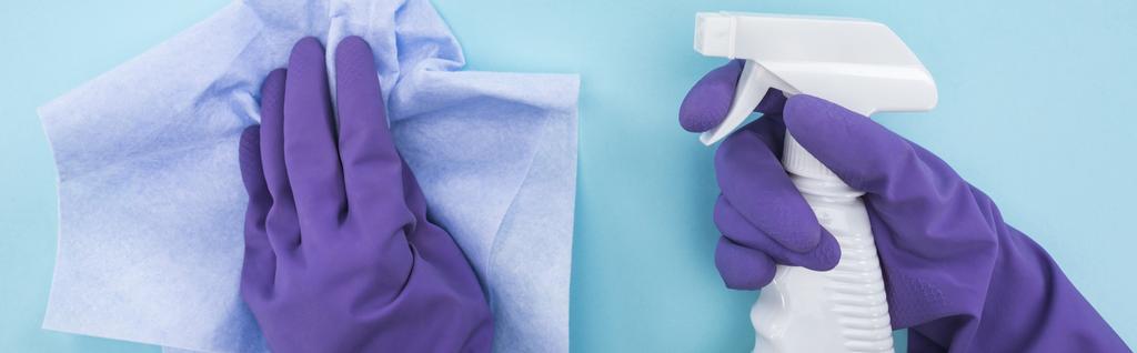 青い背景に洗剤とラグとスプレーボトルを保持紫色のゴム手袋でクリーナーのパノラマショット - 写真・画像
