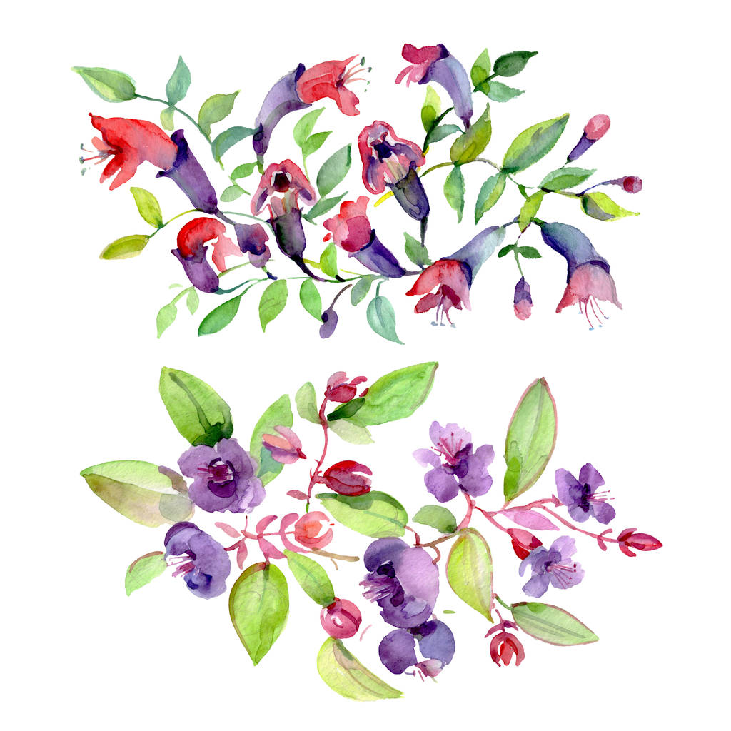 Sträuße von lila Blüten mit grünen Blättern, isoliert auf weiß. Aquarell Hintergrund Illustrationselemente. - Foto, Bild