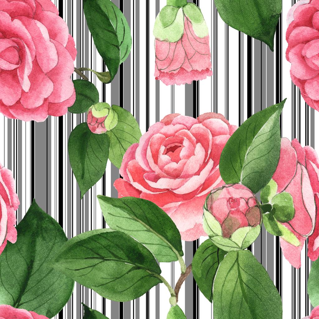 Fleurs de camélia rose avec des feuilles vertes sur fond blanc avec des lignes noires. Ensemble d'illustration aquarelle. Modèle de fond sans couture
.  - Photo, image