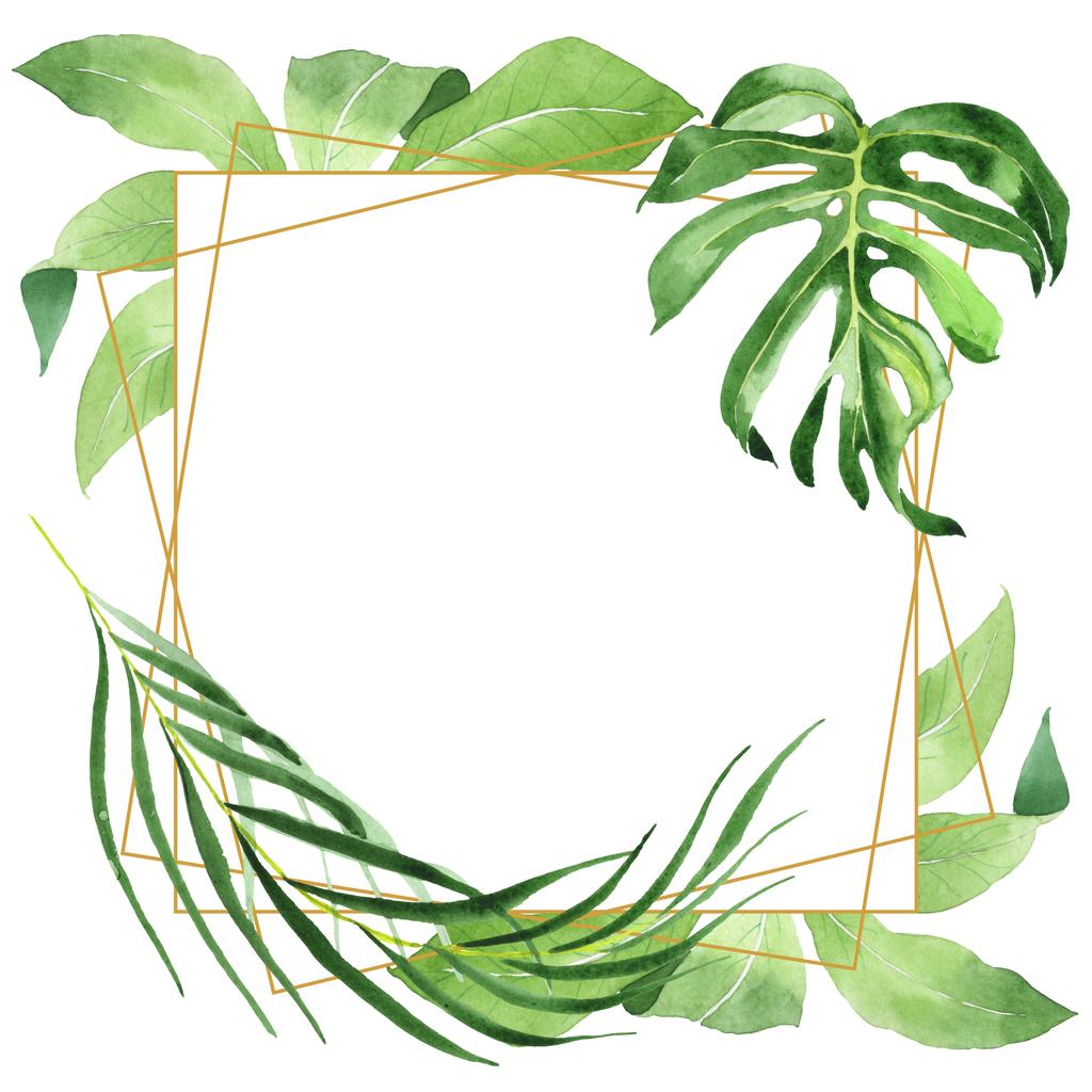 exotische tropische hawaiianische grüne Palmenblätter isoliert auf weiß. Aquarell Hintergrund Set vorhanden. Rahmen mit Kopierraum. - Foto, Bild