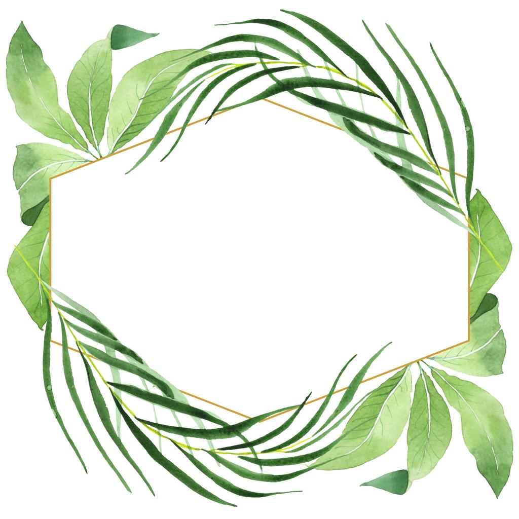 エキゾチックな熱帯ハワイアングリーンヤシの葉は白に隔離されています。水彩画の背景セット。コピースペース付きフレーム. - 写真・画像