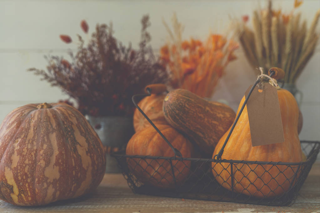 Halloween pumpkins on rustic white planks, holiday decoration. Autumn pumpkin Thanksgiving background. Wood background with pumpkin, wheat and fall flowers. Selective focus. Toned image. - Photo, Image