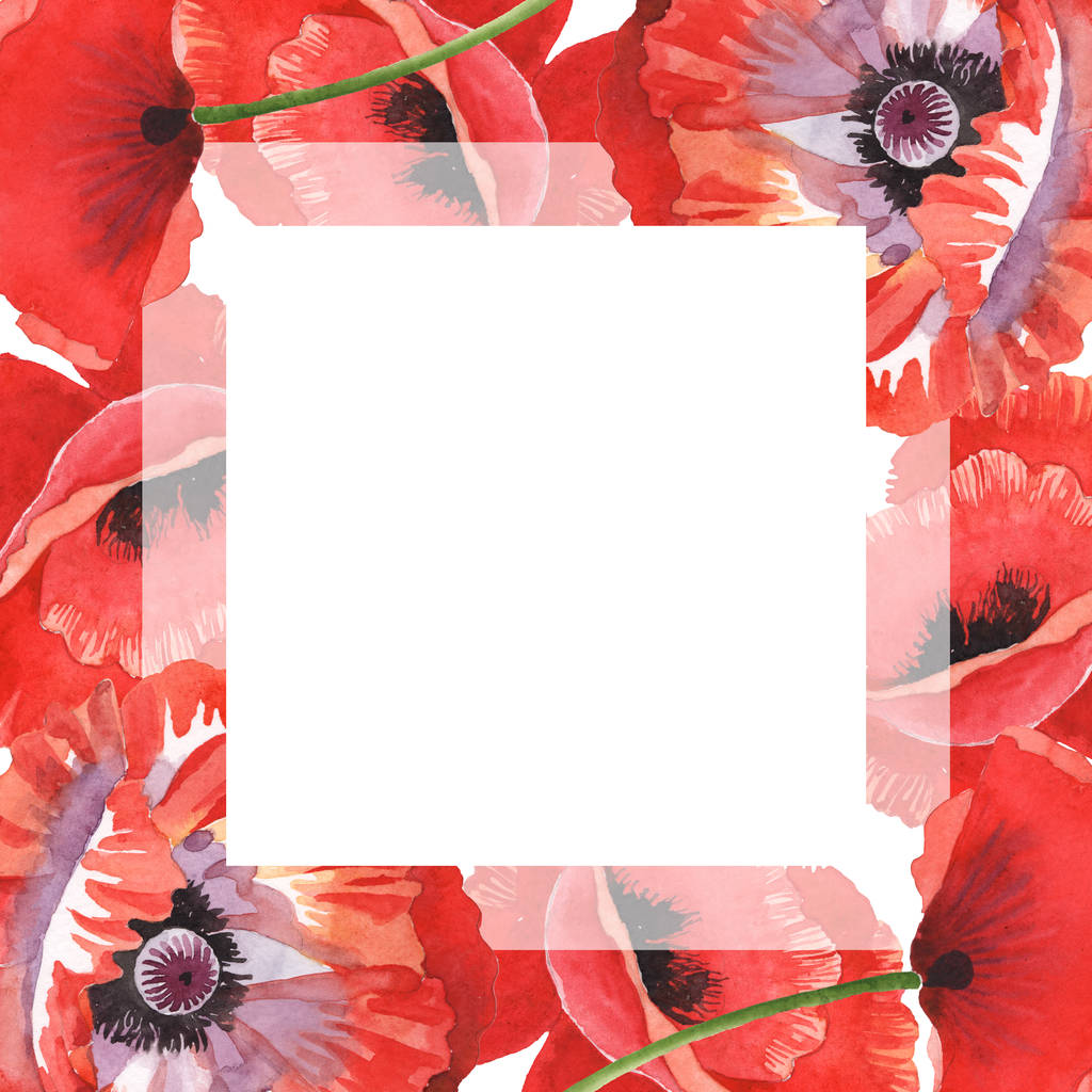 rote Mohnblumen isoliert auf weiß. Aquarell Hintergrundillustration Set. Rahmen mit Blumen und Kopierraum. - Foto, Bild