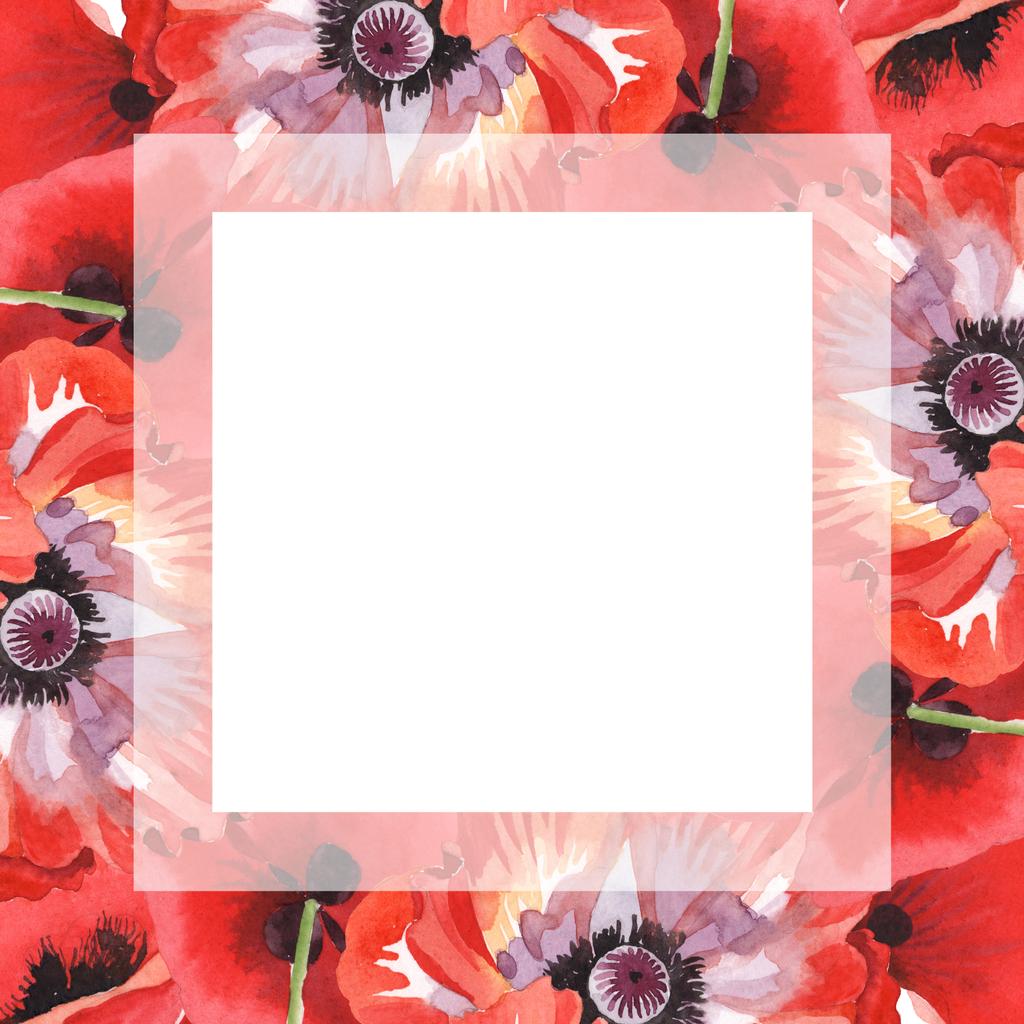 Red poppies isolated on white. Watercolor background illustration set. Frame with flowers and copy space. - Photo, Image
