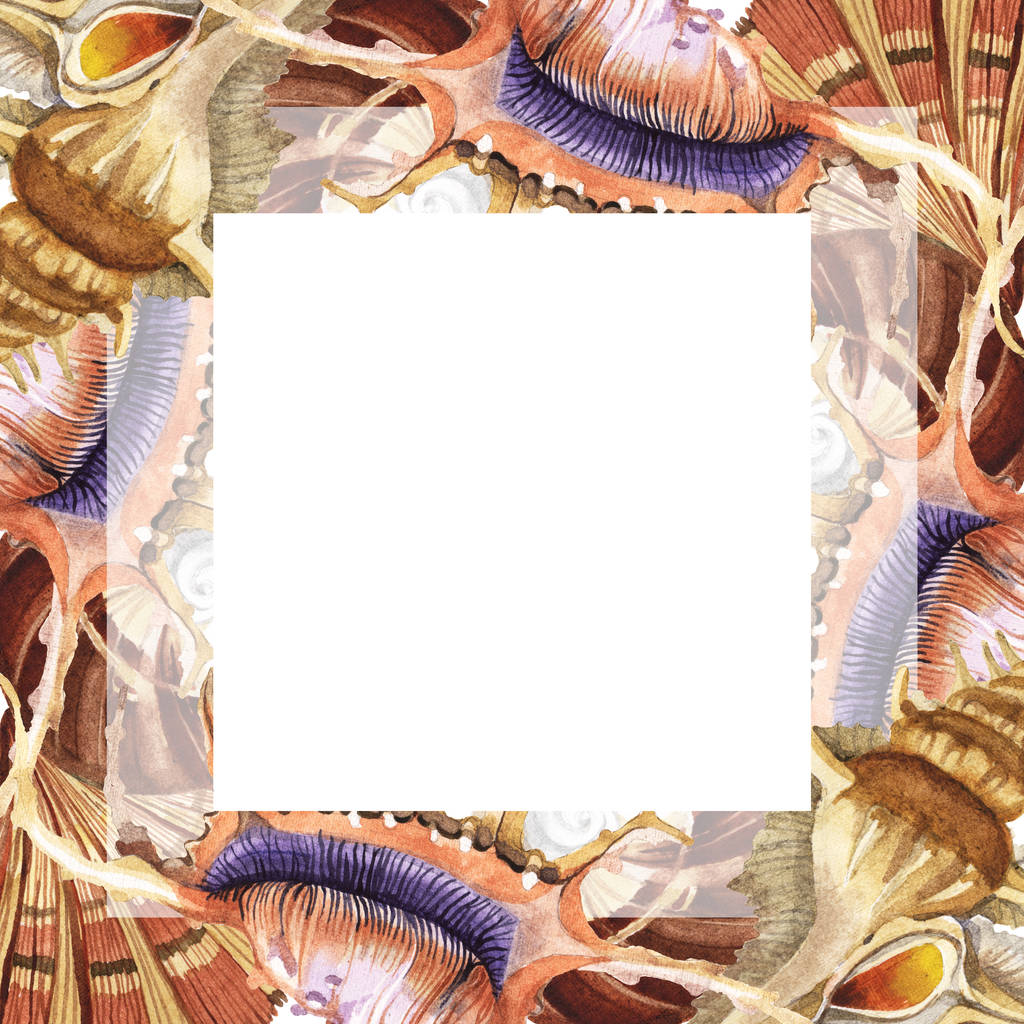 Fehérre izolált trópusi tengeri kagylókból. Akvarell háttér illusztráció meg. Keret másolási térközzel. - Fotó, kép