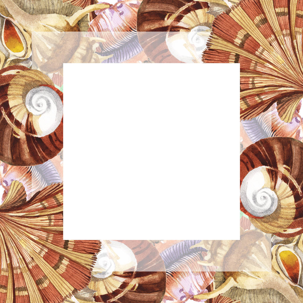Tropical seashells isolated on white. Watercolor background illustration set. Frame with copy space. - Photo, Image
