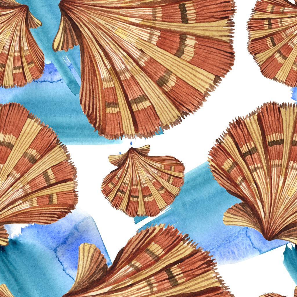 Seamless background pattern. Tropical seashells with green seaweed. Watercolor background illustration set.  - Photo, Image