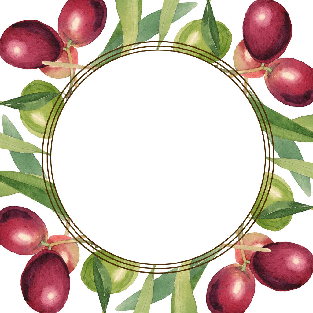 Świeże oliwki z zielonych liści wyizolowanych na białym tle akwarela ilustracji. Ornament rama z przestrzeni kopiowania. - Zdjęcie, obraz
