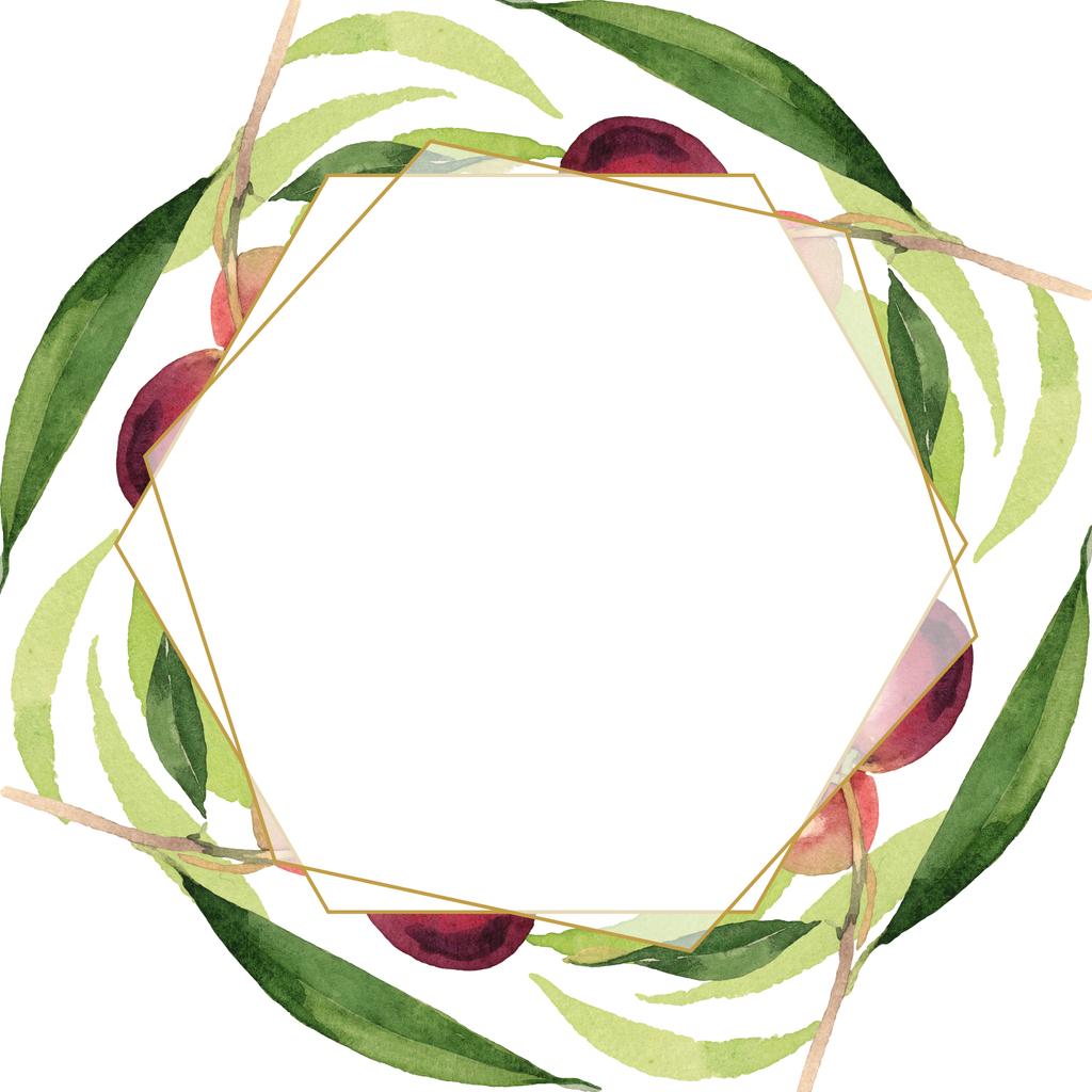 Свежие оливки с зелеными листьями выделены на белом акварельном фоне иллюстрации. Украшение рамы с копировальным пространством
. - Фото, изображение