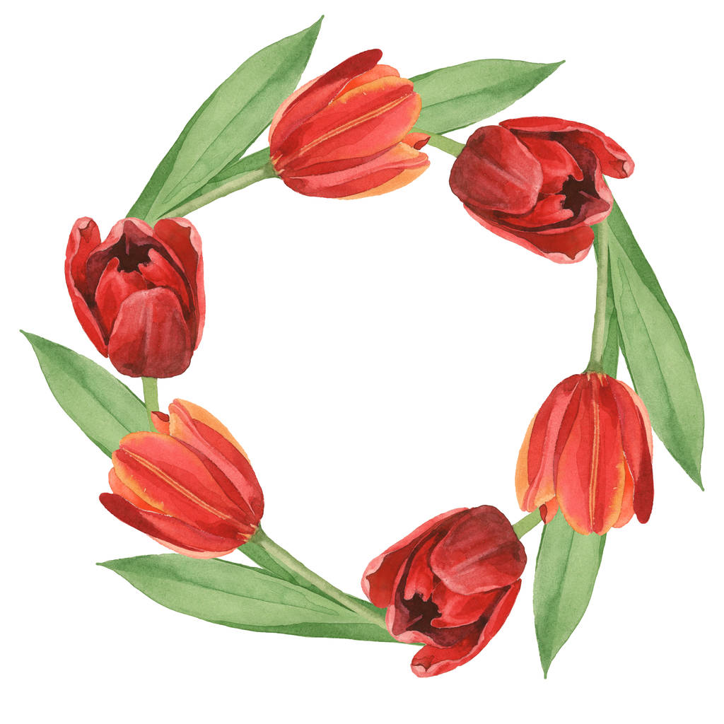 Corona de tulipanes rojos con hojas verdes ilustración aislada en blanco. Adorno del marco con espacio de copia
. - Foto, Imagen