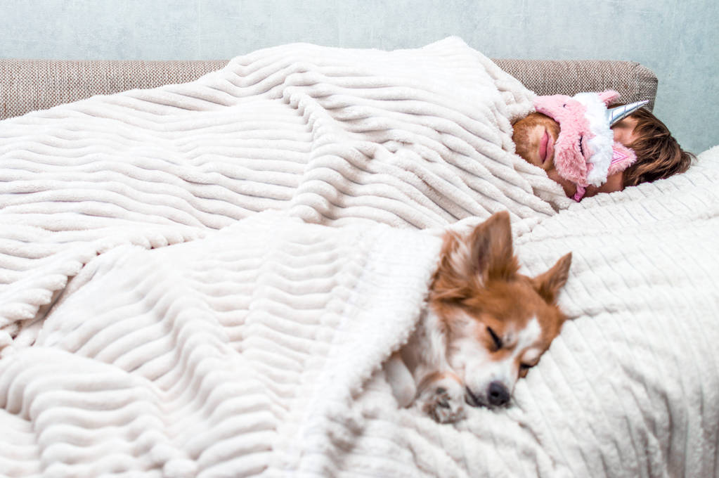 kırmızı köpek yatakta pembe bir uyku maskesi sahibi ile uyur. Kavram hafta sonu ve dinlenme - Fotoğraf, Görsel