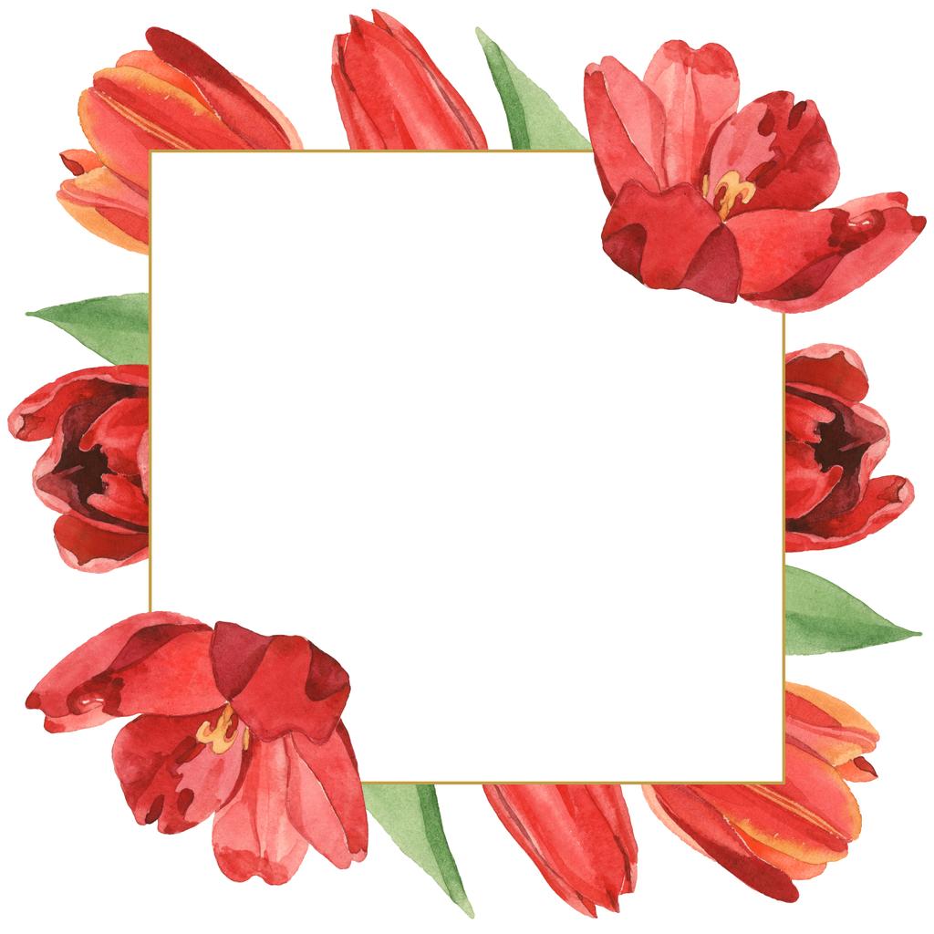 Rand van rode tulpen met groene bladeren illustratie geïsoleerd op wit. Frame ornament met kopieerruimte. - Foto, afbeelding