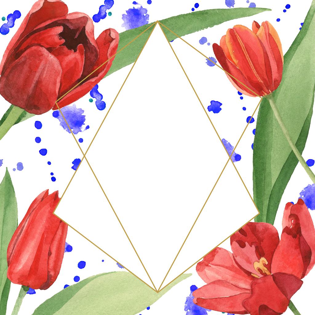 Piros tulipán zöld lombos illusztrációval, fehér színű. Frame dísz kék festékkel kiömlött és másolási tér. - Fotó, kép