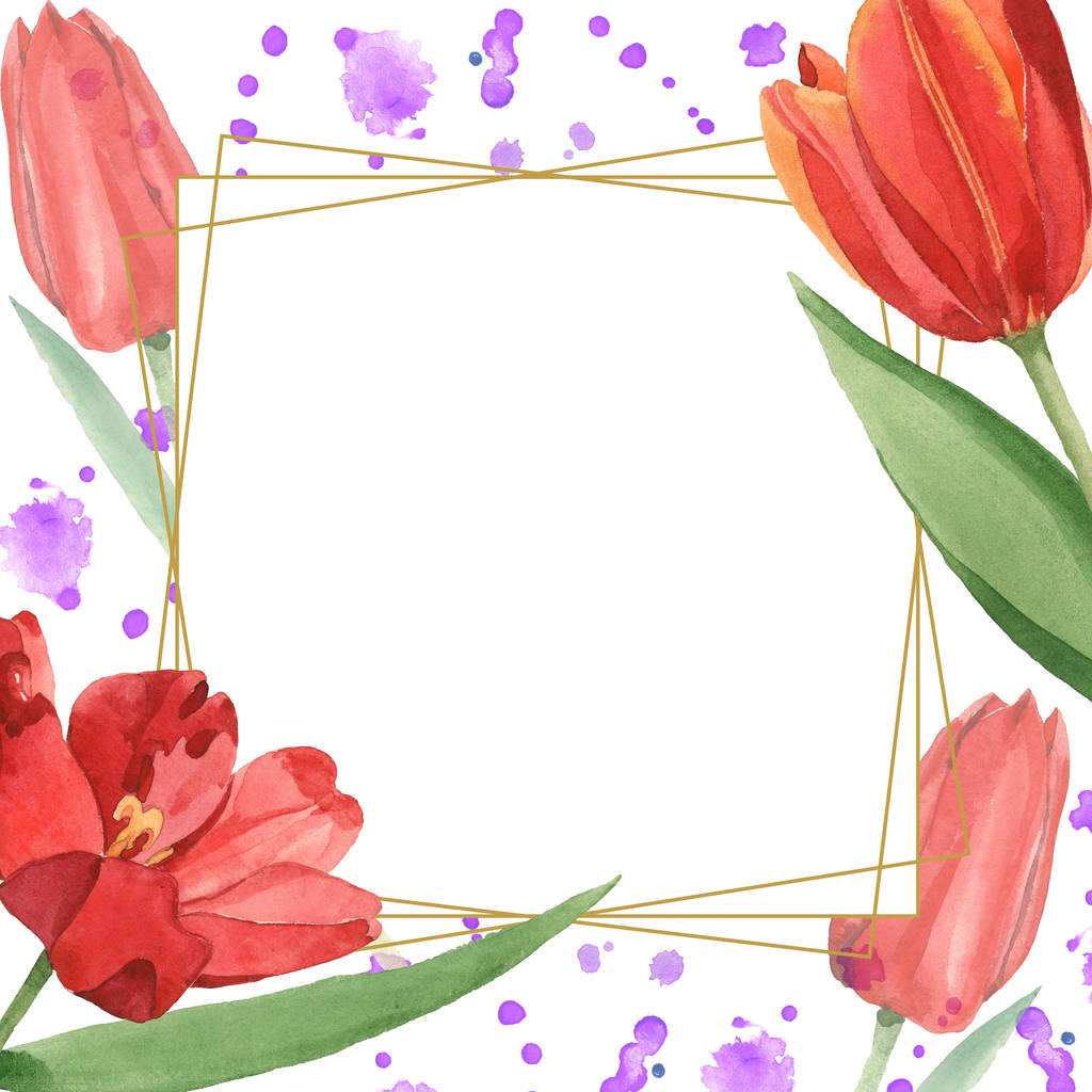 Tulipanes rojos con hojas verdes ilustración aislada en blanco. Adorno del marco con derrames de pintura púrpura y espacio de copia
. - Foto, Imagen