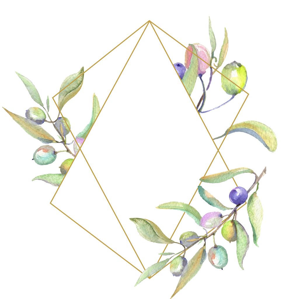 Olivenzweige mit grünen Früchten und Blättern isoliert auf weiß. Aquarell Hintergrundillustration Set. Rahmenornament mit Kopierraum. - Foto, Bild