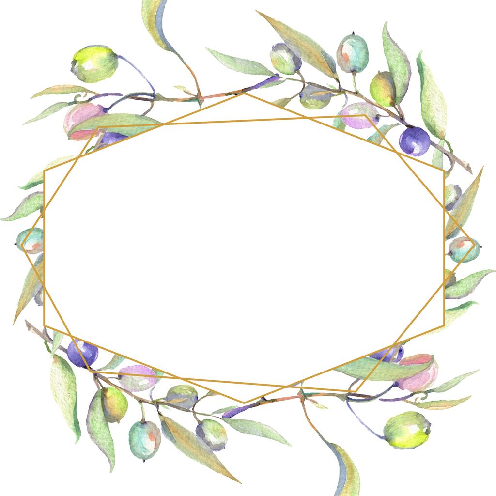 Ramos de azeitona com fruta verde e folhas isoladas em branco. Conjunto de ilustração de fundo aquarela. Ornamento do quadro com espaço de cópia
. - Foto, Imagem