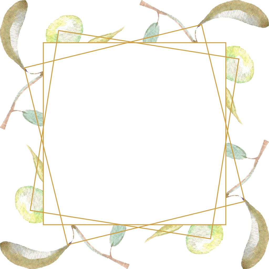Ramas de olivo con fruta verde y hojas aisladas en blanco. Conjunto de ilustración de fondo acuarela. Adorno del marco con espacio de copia
. - Foto, Imagen