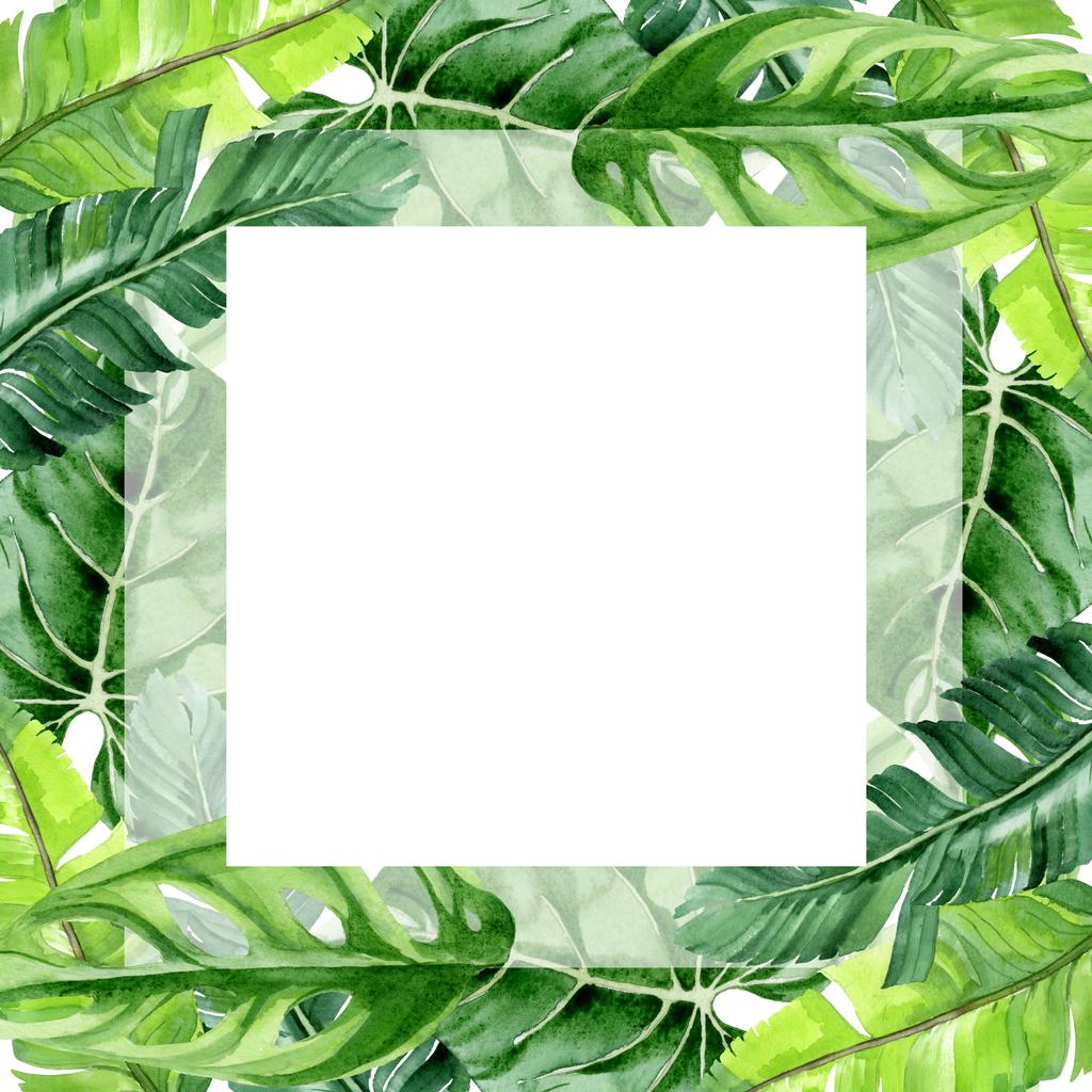 Exotische tropische Hawaiiaanse palmboom verlaat geïsoleerd op wit. Aquarel achtergrond illustratie instellen. Frame ornament met Kopieer ruimte. - Foto, afbeelding