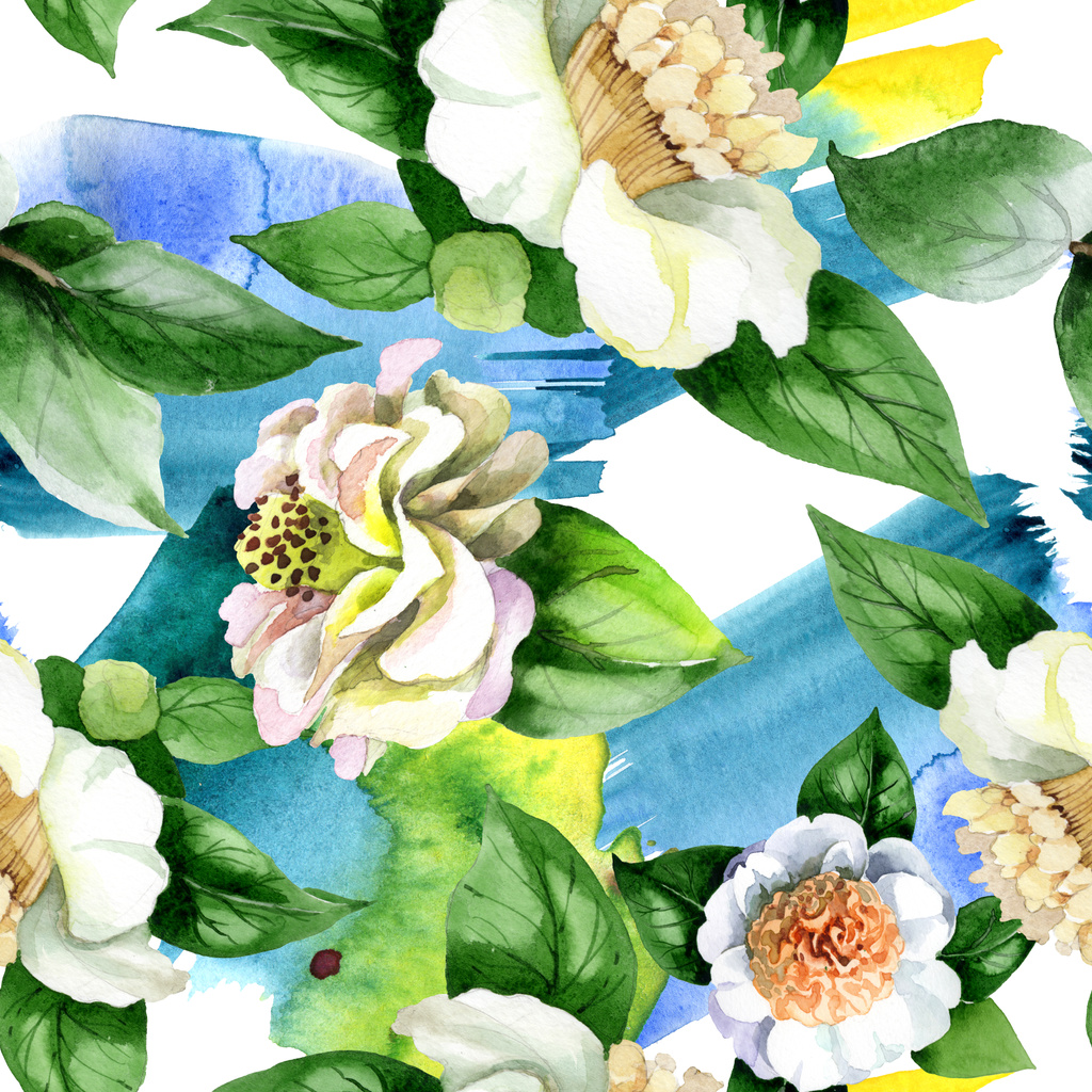Fleurs de camélia blanc avec feuilles vertes aquarelle ensemble d'illustration. Modèle de fond sans couture
. - Photo, image