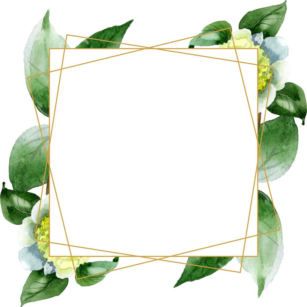 Witte camellia bloemen met groene bladeren geïsoleerd op wit. Aquarel achtergrond illustratie set. Frame rand ornament met kopieerruimte. - Foto, afbeelding