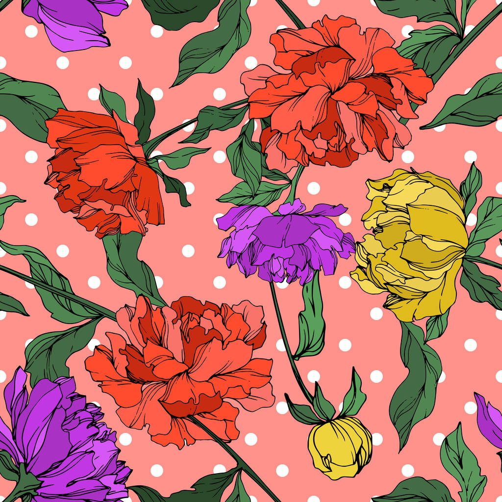 Pivoines vectorielles multicolores avec des feuilles sur fond rose à pois. Modèle de fond sans couture
.  - Vecteur, image