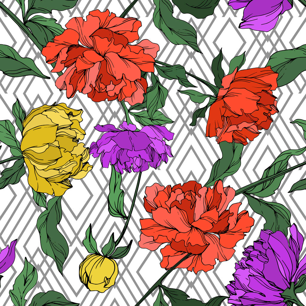 Pivoines vectorielles multicolores avec des feuilles isolées sur blanc. Modèle de fond sans couture
.  - Vecteur, image
