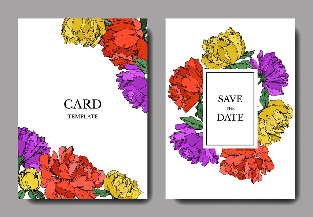 Modelos de cartões de convite com letras e peônias multicoloridas vetoriais com folhas isoladas em branco
.  - Vetor, Imagem