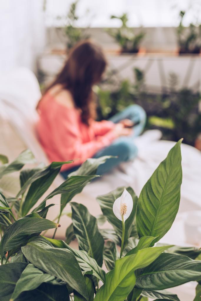 selektiver Fokus eines jungen Mädchens, das mit überkreuzten Beinen sitzt und das Smartphone in der Nähe grüner Pflanzen zu Hause benutzt - Foto, Bild
