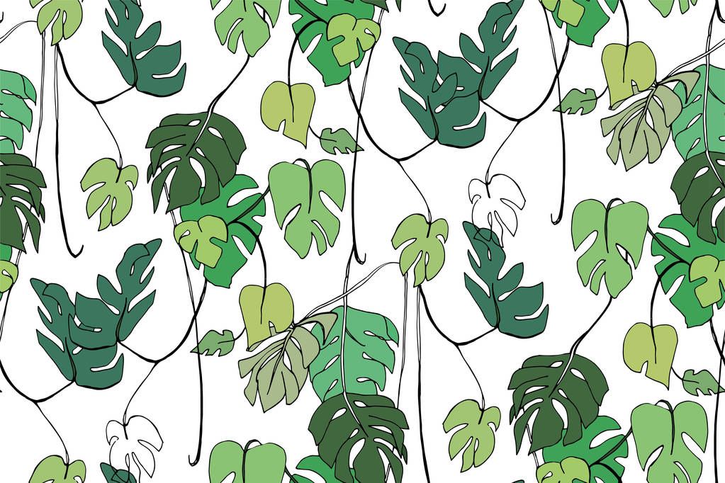 Monstera-een jungle van lianen planten, vector illustratie - Vector, afbeelding