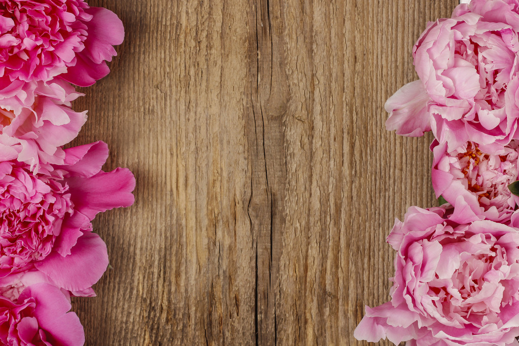 Stunning peonies on wooden background - Photo, Image