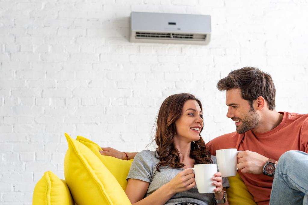 onnellinen pari kuppeja istuu sohvalla ilmastointilaitteen kotona
 - Valokuva, kuva